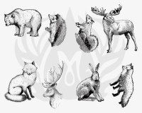 Woodland Animals