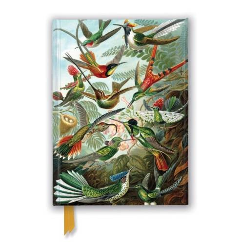 Premium Notizbuch: Ernst Haeckel "Kolibris" DIN A5, liniert