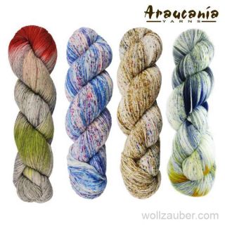 Araucania Huasco Sock 100g Handgefärbt