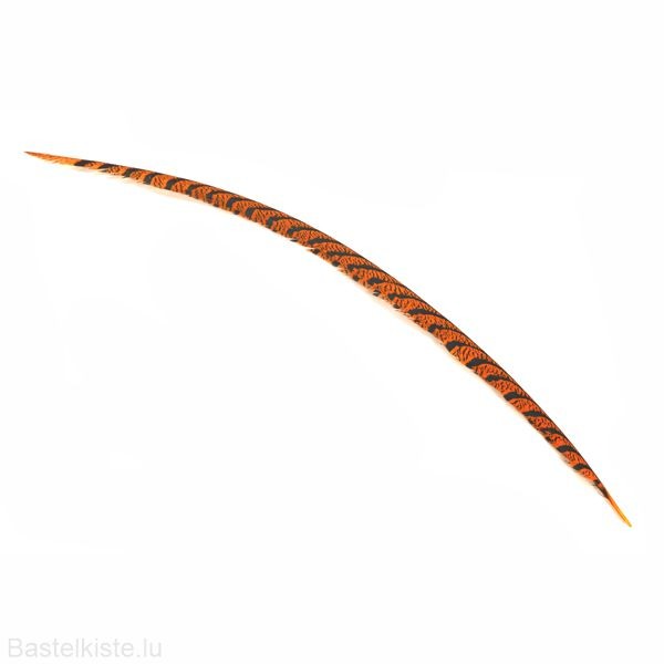 "Edelfasan-Dachfeder" orange ca. 60-70cm