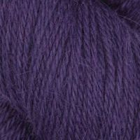 13 Elderberry